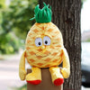 Multiple Styles Selected New Fruits Vegetables cauliflower pineapple blueberry Starwberry 9" Soft Plush Doll Toy Object photo