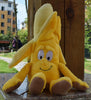 New Fruits Vegetables banana Pear Brcoccoli  watermelon cauliflower Lemon Mushroom pineapple Starwberry 9" Soft Plush Doll Toy
