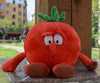 New Fruits Vegetables banana Pear Brcoccoli  watermelon cauliflower Lemon Mushroom pineapple Starwberry 9" Soft Plush Doll Toy